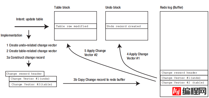 Oracle Redo and Undo