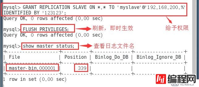 MySQL 主从同步与分离