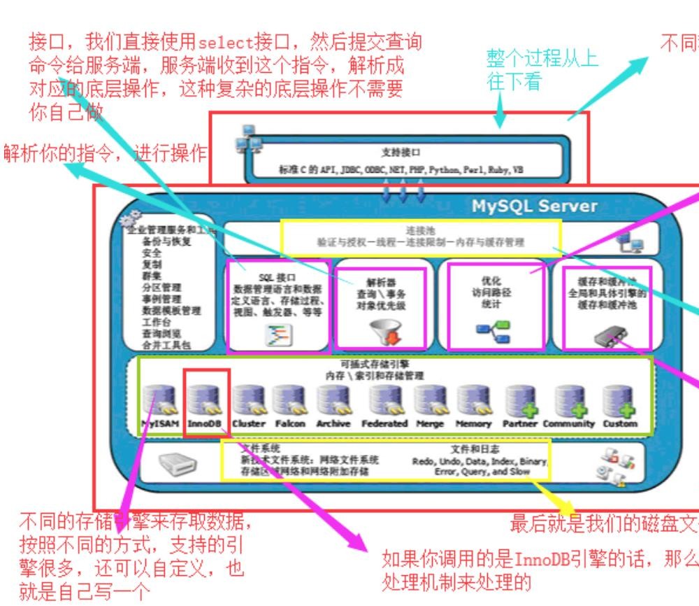 详细分析MySQL数据库的基础用法