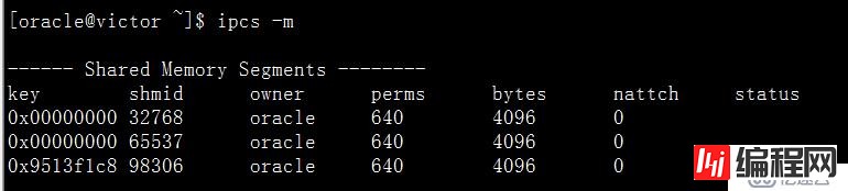 oracle 共享内存查看  ipcs命令详解