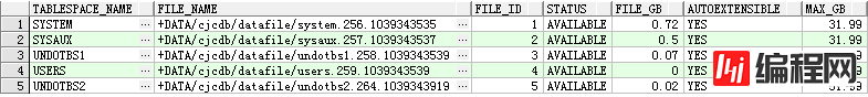 Oracle数据库(RAC)巡检报告