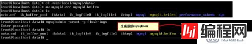 mysql数据库的特性以及参数性能