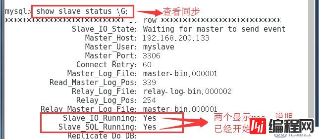 MySQL 主从同步与分离