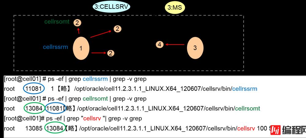 Oracle Exadata存储服务器原理是什么