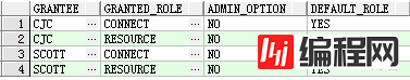 Oracle数据库(RAC)巡检报告