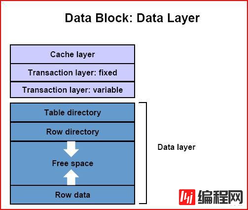 怎么进行oracle数据块格式的分析