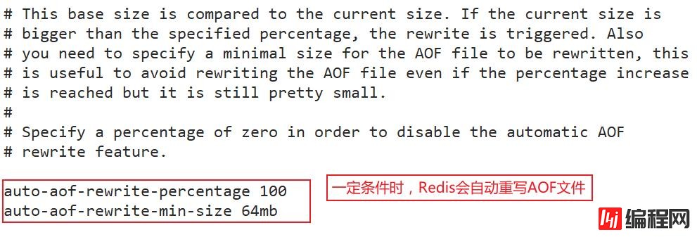 Redis持久化实例分析