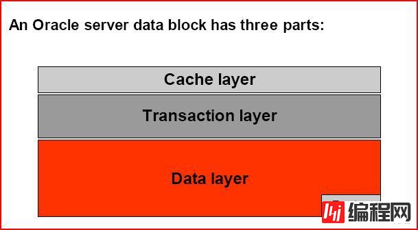 怎么进行oracle数据块格式的分析