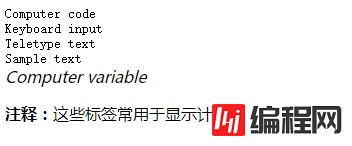 html中不同计算机输出标签的显示效果