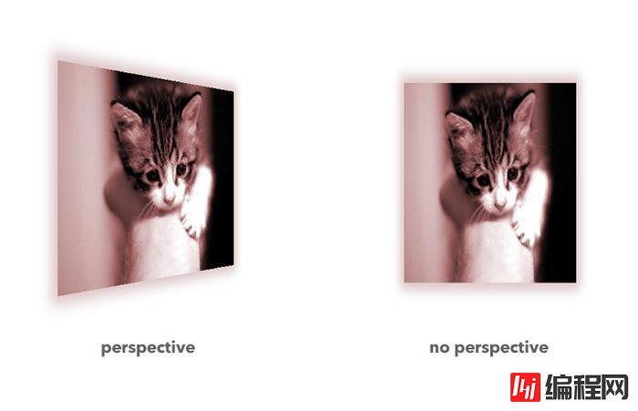 css中perspective属性和perspective()函数的异同点有哪些