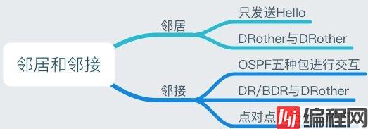 OSPF详解-3 邻接、度量值