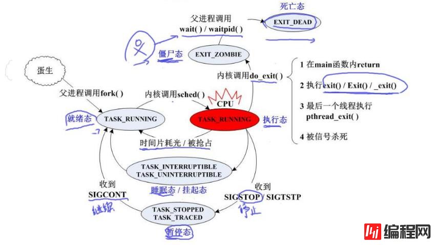 linux可不可以创建多个进程