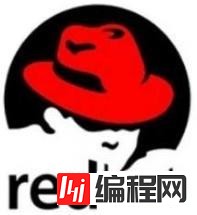 linux的类型有哪些