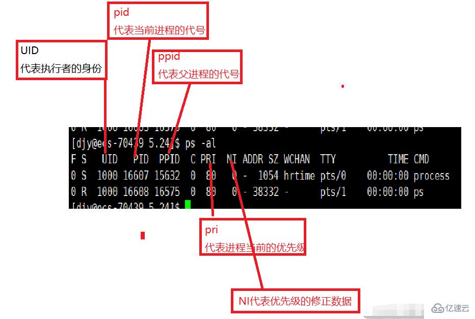 linux中进程有没有优先级