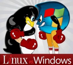 在微软Windows平台上打造Linux环境方法教程