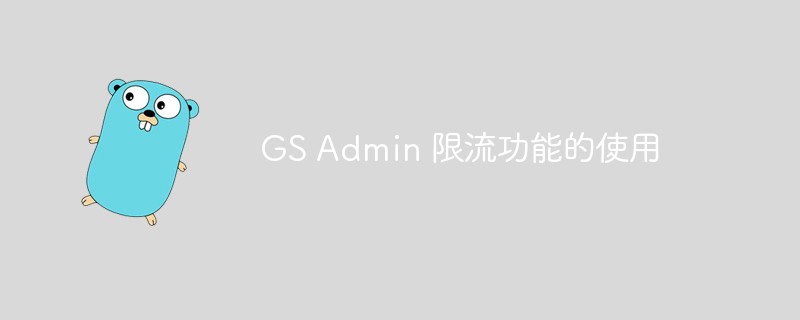 一文详解GS Admin限流功如何用